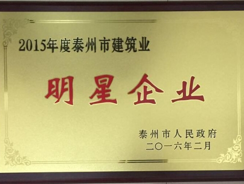 2015年度泰州市建筑業(yè)明星企業(yè)